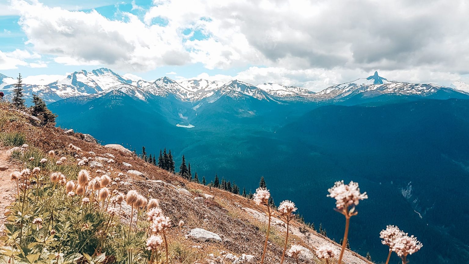 The Ultimate Guide To Whistler In Summer Things To Do Travel And