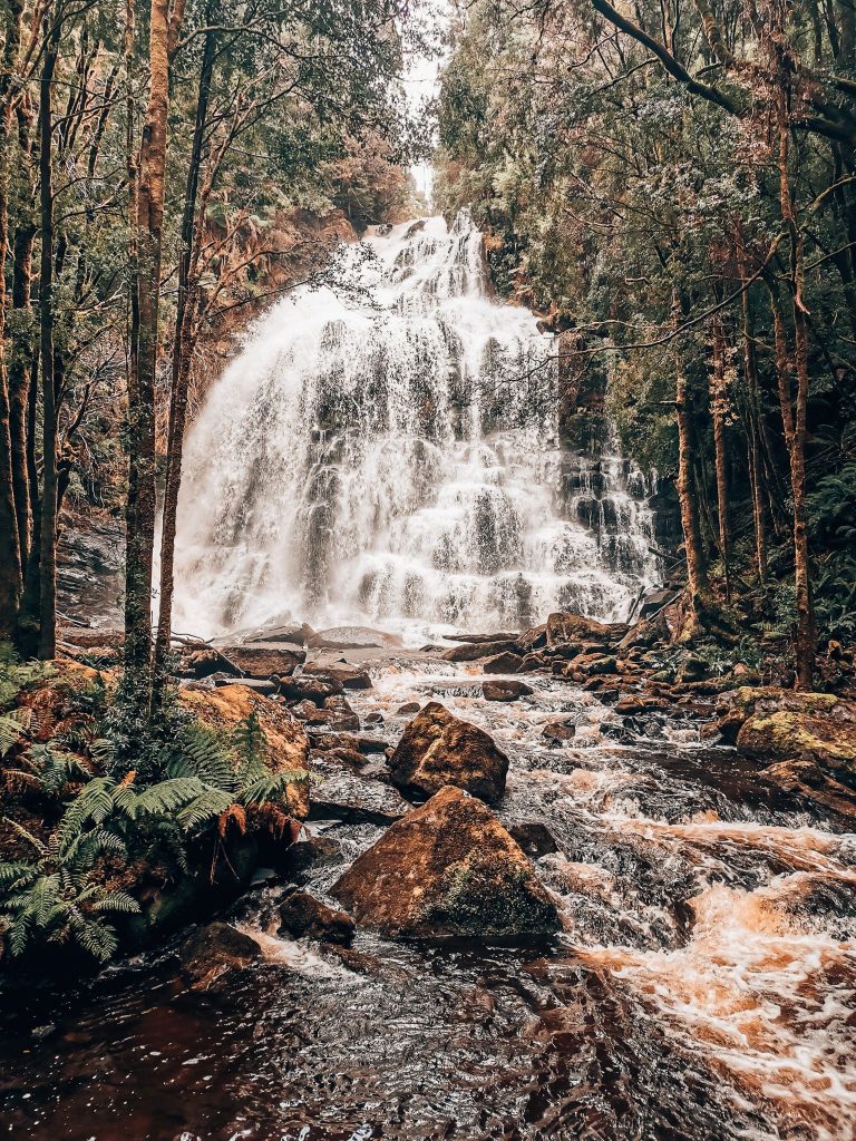 A tall cascading waterfall surrounded by thick lush jungle, Nelson Falls, best things to see in Tasmania, Australia