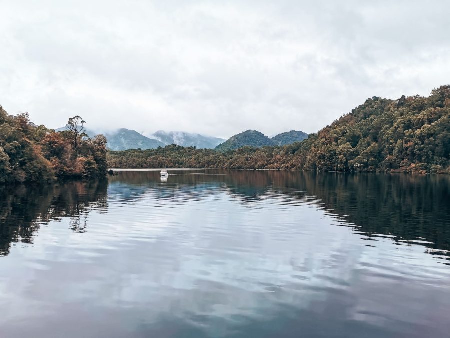 A cruise ship cruising along the peaceful Gordon River surrounded by mountains and thick ancient rainforest in Strahan, Tasmania