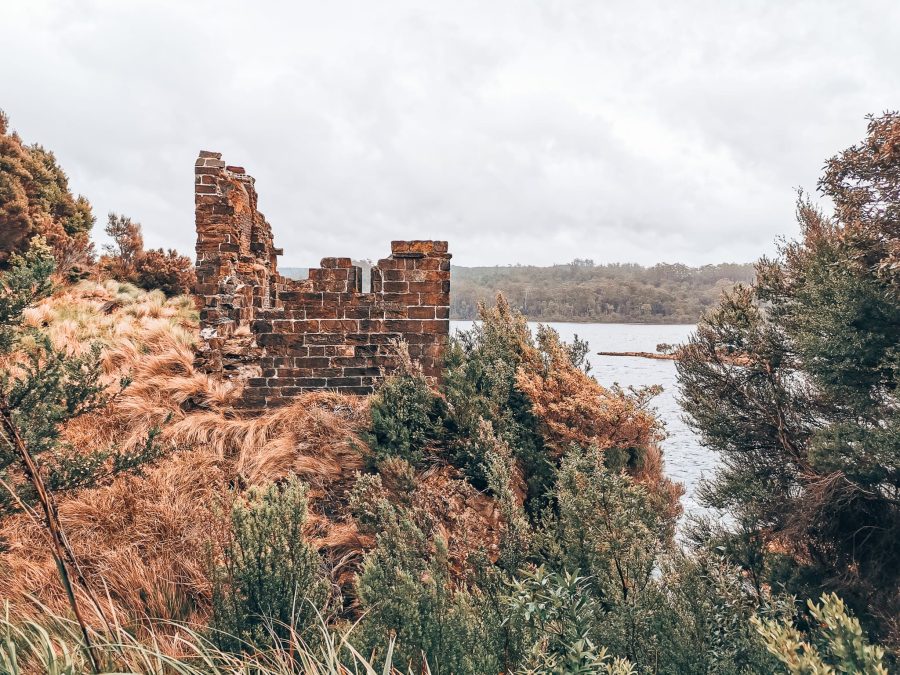 Old ruins surrounded by greenery overlooking the ocean at Sarah Island, Strahan, one of the best things to see in Tasmania