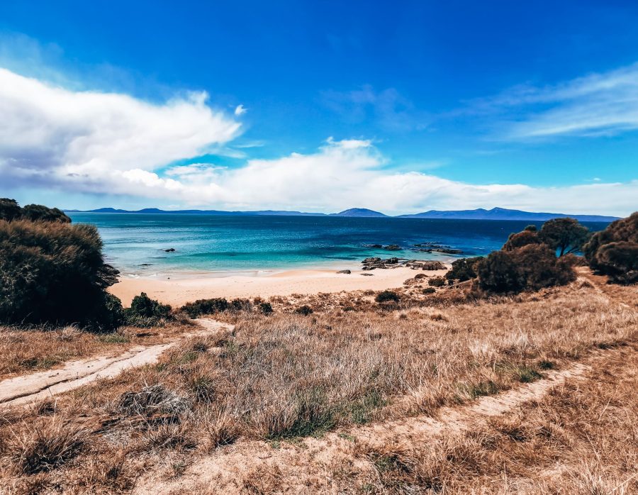 A small white sand beach and striking turquoise and blue water at Spiky Beach, Tasmania, Australia