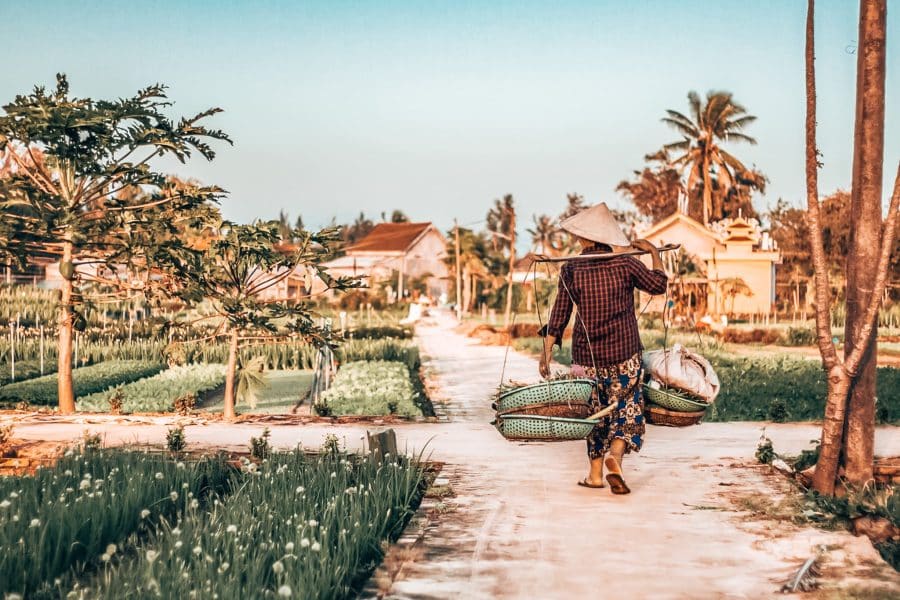 A local man walking through the Hoi An countryside, Vietnam