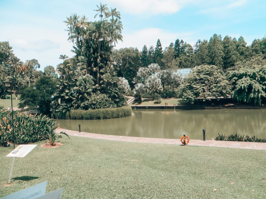 Tropical greenery of the Singapore Botanic Gardens with a large pond, close to Orchard Road