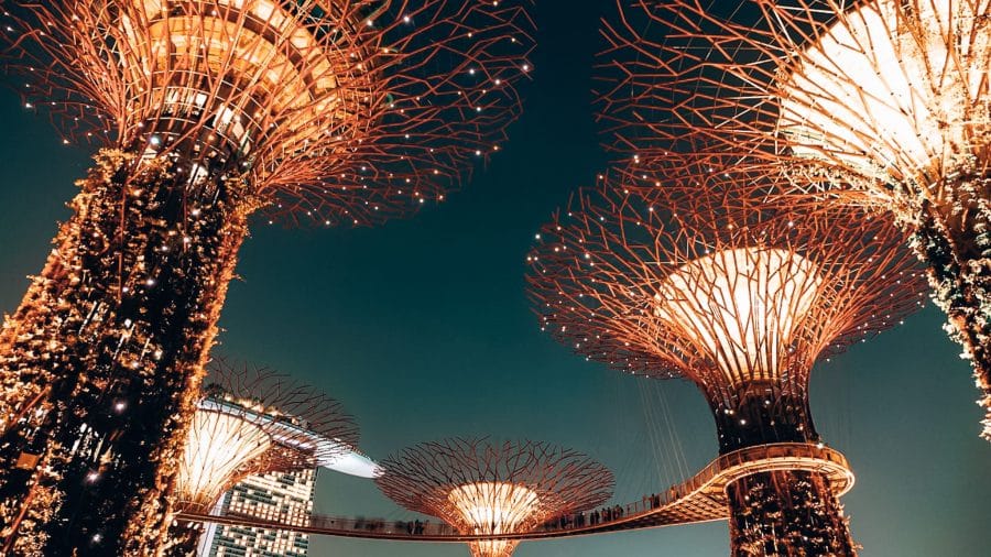 The Supertrees lit up in reds and oranges at night, Gardens by the Bay, Marina Bay, Singapore