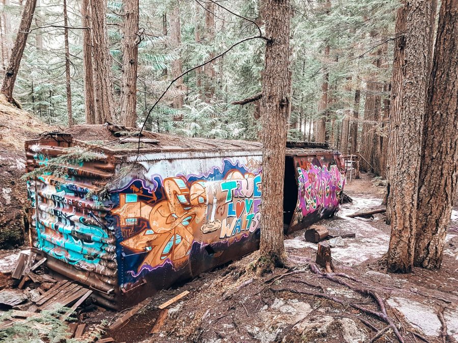 A colourful graffiti painted train carriage immersed in thick greenery, Whistler, British Columbia, Canada