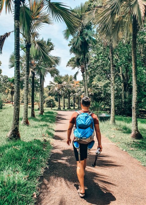 Andy walking through tree-lined pathways at the Sir Seewoosagur Ramgoolam Botanical Gardens, Pamplemousses, Mauritius