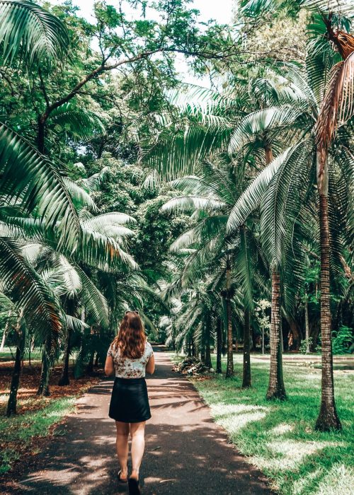 Helen walking through tree-lined pathways at the Sir Seewoosagur Ramgoolam Botanical Gardens, Pamplemousses, Mauritius