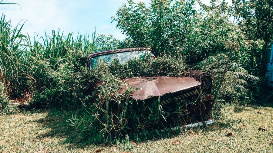 A vintage car at Chez Tante Athalie overgrown in the bushes, Mauritius