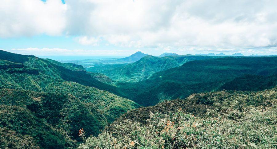 Panoramic view over the thick tropical jungle at Black River Gorges National Park, Mauritius