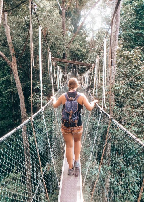 A female walking the Canopy Walk in the Taman Negara National Park surrounded by thick lush greenery, Malaysia