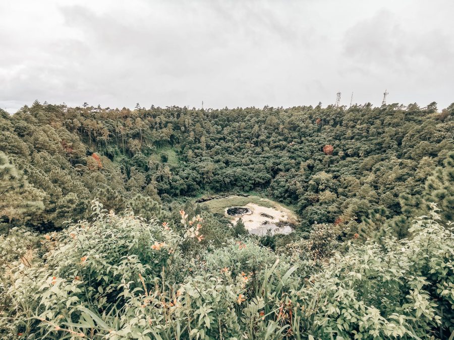 Looking into the thick jungle in the crater while walking around Trou Aux Cerfs is one of the best things to do in Mauritius