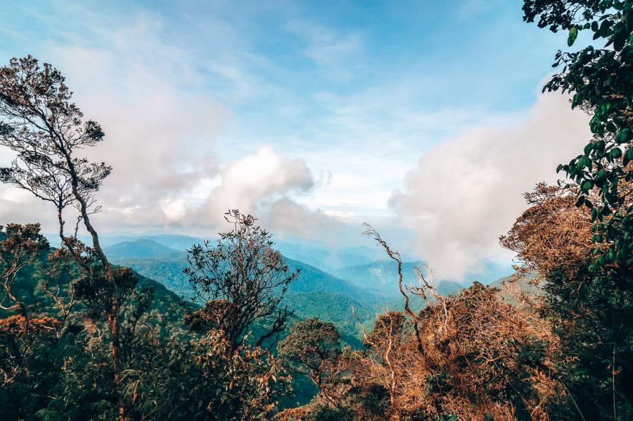 Looking out from the summit of Mount Brinchang above the clouds, Cameron Highlands, Malaysia