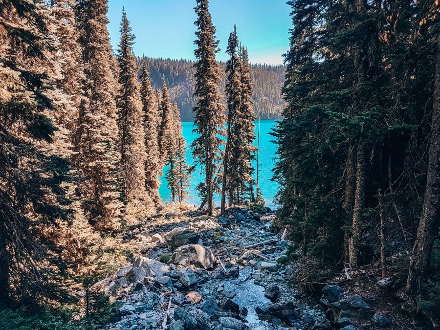 Lesser Garibaldi Lake peaking through the trees, Garibaldi Provincial Park