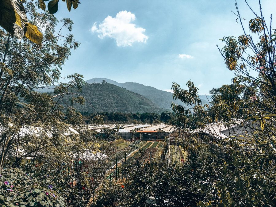 The view across the fields at Coaba Farms and out to the surrounding mountains, Antigua, Guatemala