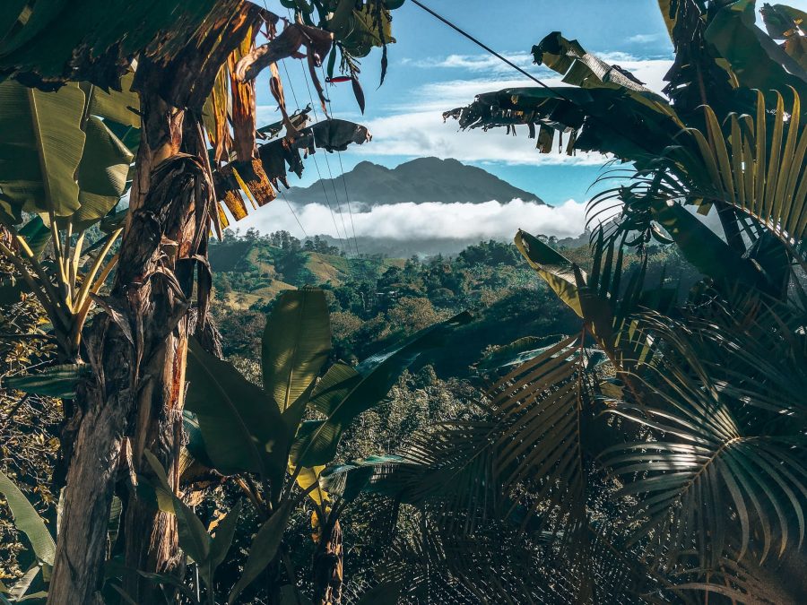 Thick jungle and towering mountains in Lanquin, Guatemala