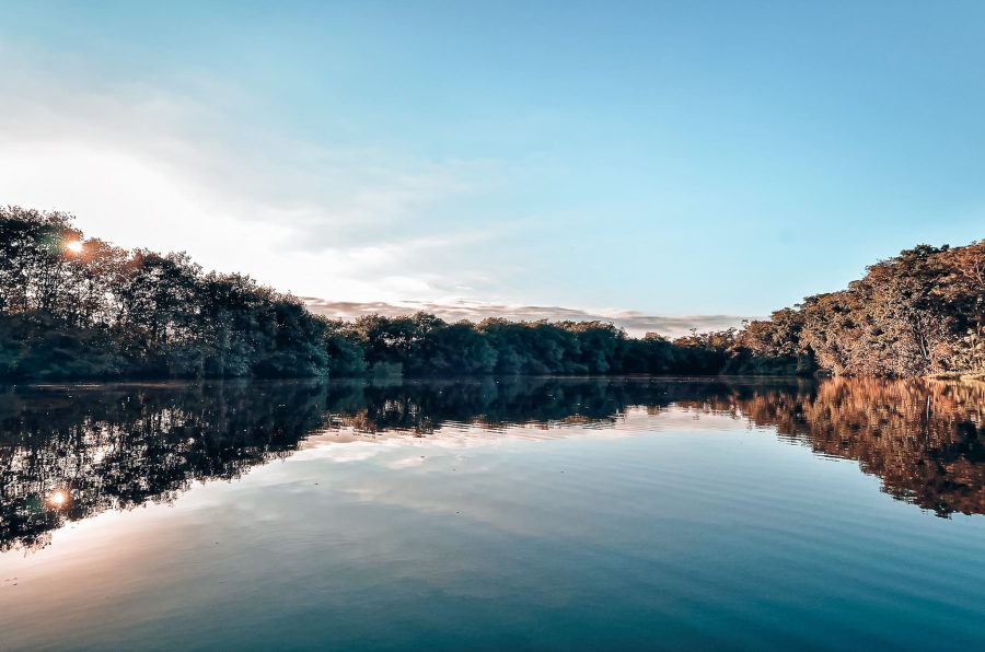 Calm water of Lake Izabel, surrounded by thick lush jungle, Rio Dulce National Park, Guatemala