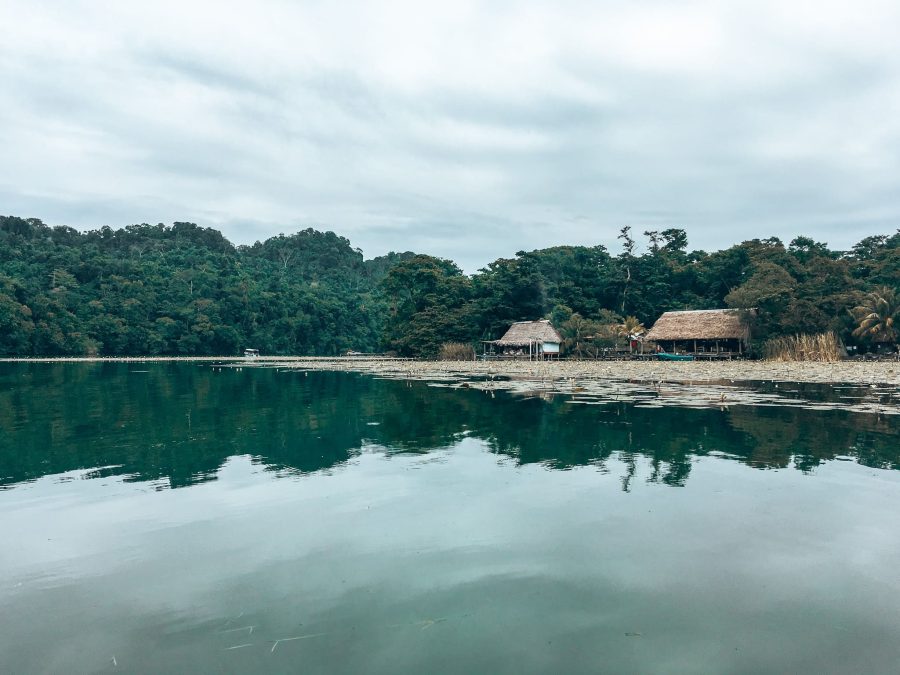 Calm water of Lake Izabel with houses jutted out over the edge, surrounded by thick lush jungle, Rio Dulce National Park, Guatemala