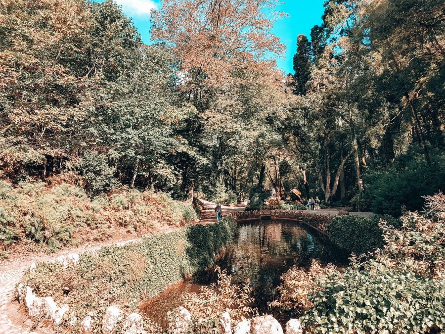 The lush green and tranquil Valley of the Lakes in Pena Park, Sintra day trips from Lisbon