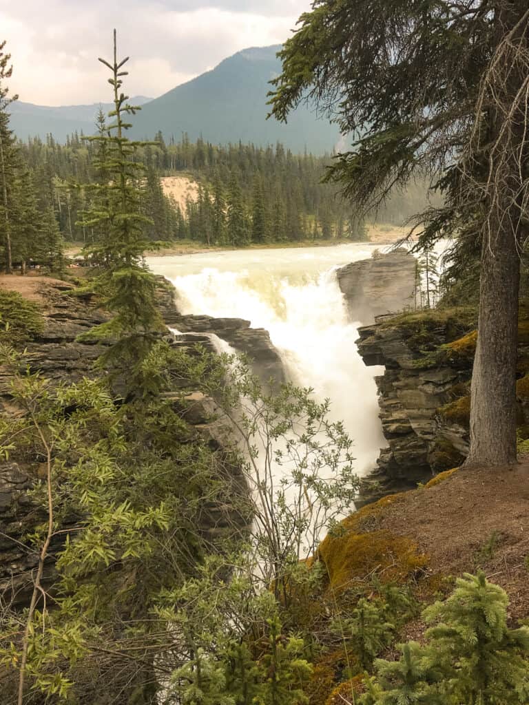 The fast-flowing Athabasca Falls are a must-see on your Calgary to Vancouver road trip