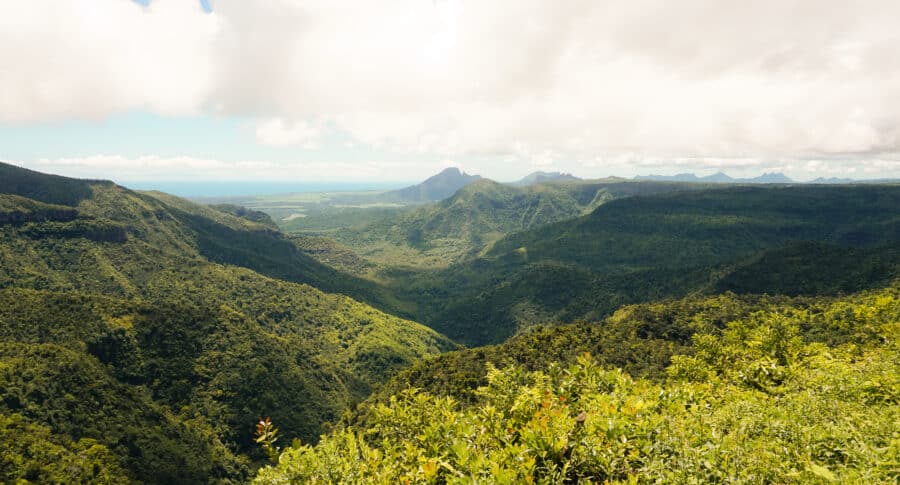 Panoramic view over the thick tropical jungle at Black River Gorges National Park, Mauritius