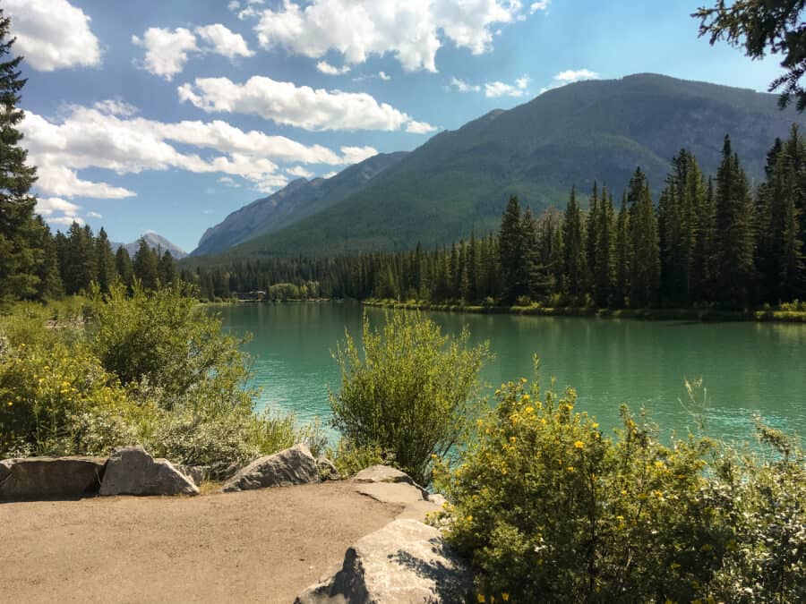 The tranquil Bow River Trail is perfect for a bike ride on a Calgary to Vancouver road trip