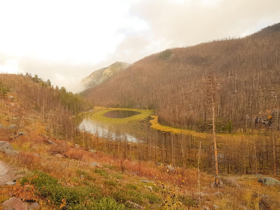 Cub Lake immersed in golden fall colours, Rocky Mountain National Park, Colorado, USA