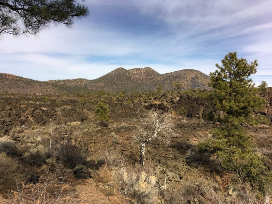 The baron terrain of Sunset Crater in Flagstaff is one of most surreal things to see on your Arizona road trip