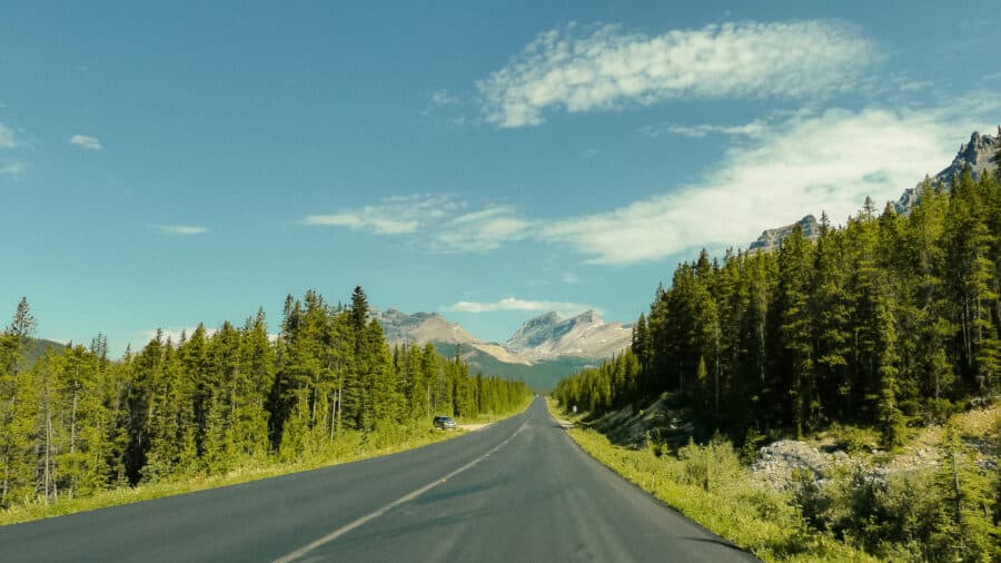 Vast stretch of highway nestled amongst thick greenery and mountain peaks in the distance, Icefields Parkway, Canada