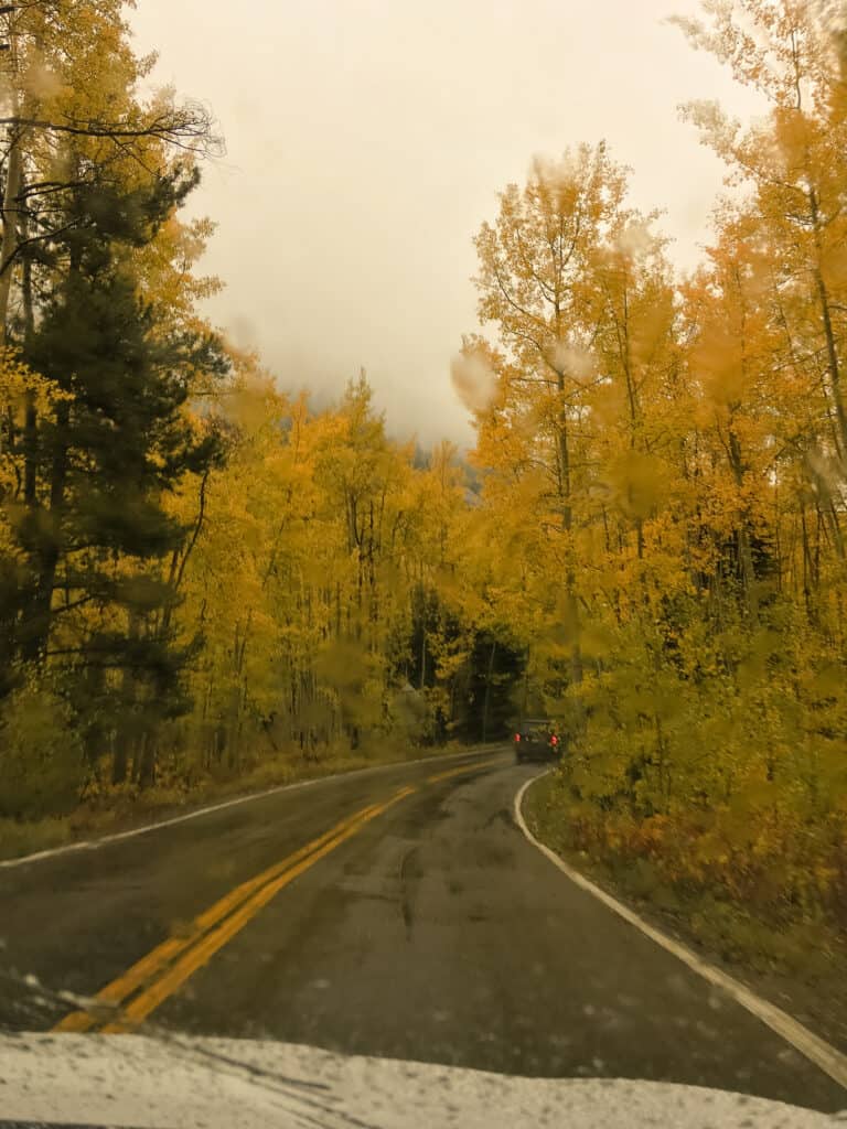 Amazing fall colours as we drive Independence Pass, Aspen, Colorado, USA