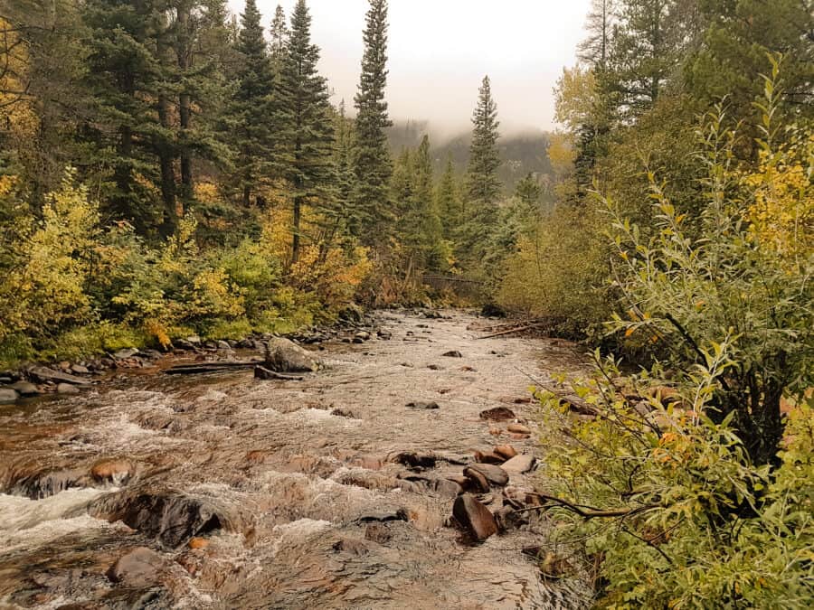 Walking trail from Moraine Park Campground, the first stop on our Colorado road trip, USA