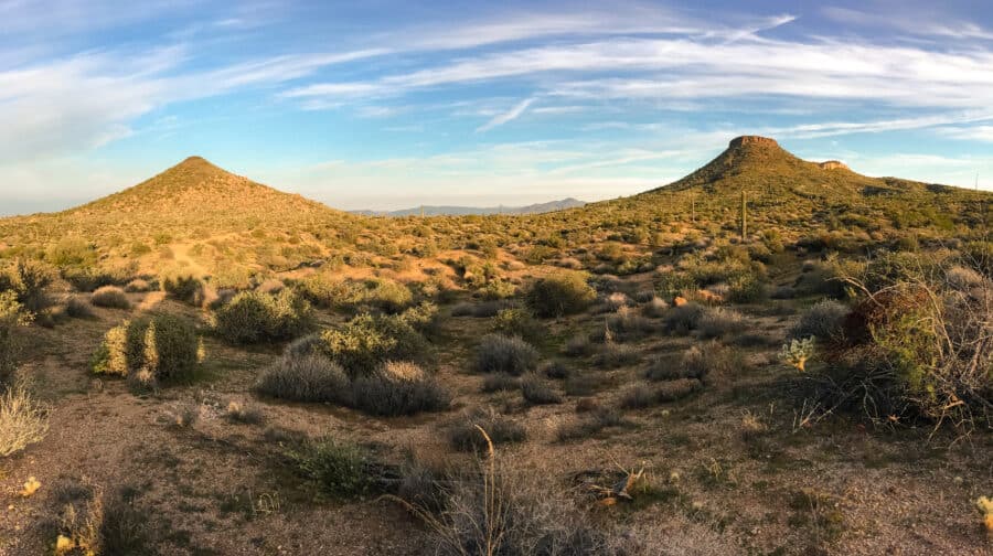 The vast expanse of the Sonoran Preserve were my favourite place to hike amongst the cactus on my Arizona road trip in Scottsdale