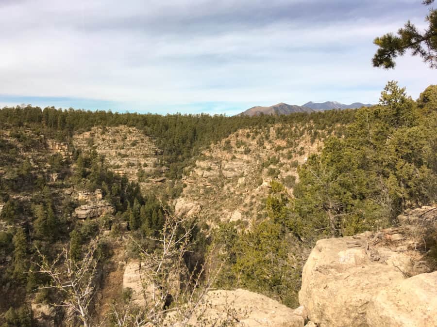 The view across Walnut Canyon, Flagstaff will be one of the highlights on your Arizona road trip