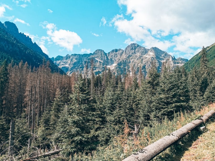 Dramatic mountain peaks rising above the trees when hiking Rysy Mountain, highest peak in Poland