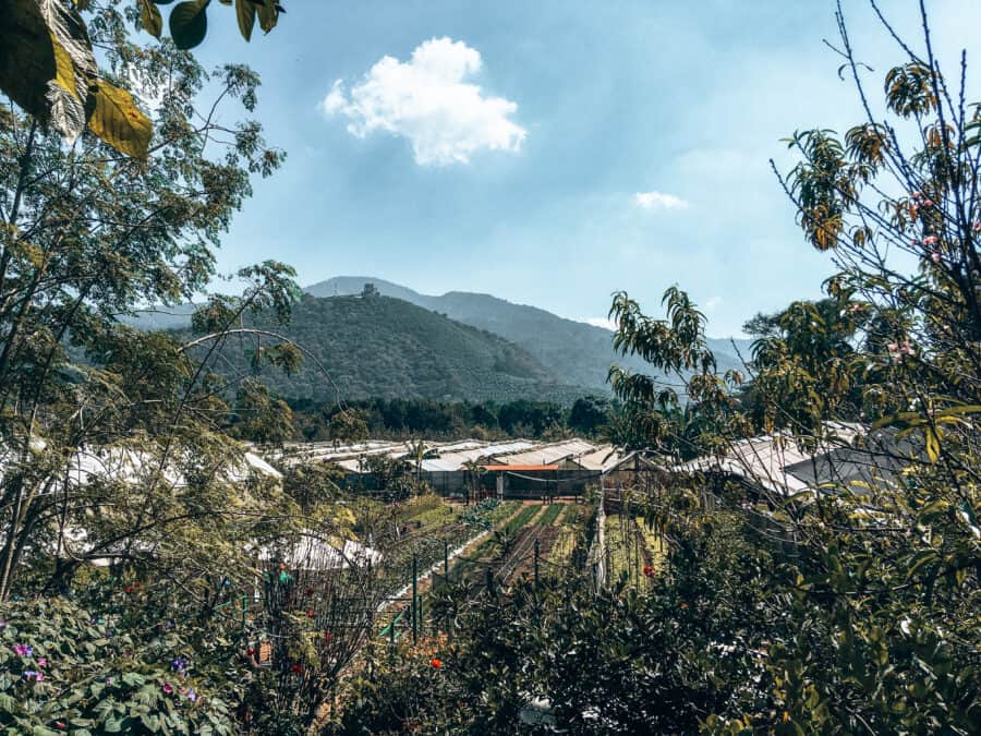 Coaba Farms with a dramatic mountainous backdrop, Antigua