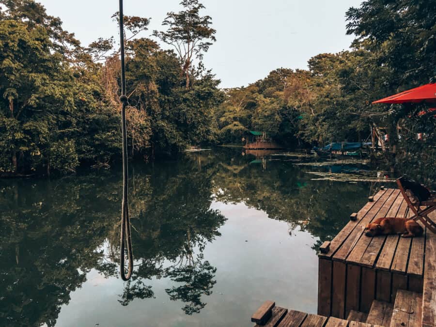 A rope swing from our hotel in the Rio Dulce National Park into Lake Izabel, Guatemala