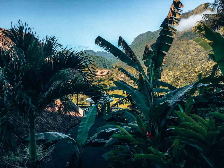 Thatched basic accommodation in the heart of thick, tropical Guatemalan jungle, Lanquin