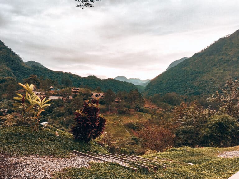 Thick lush jungle as far as the eye can see in Lanquin, Guatemala