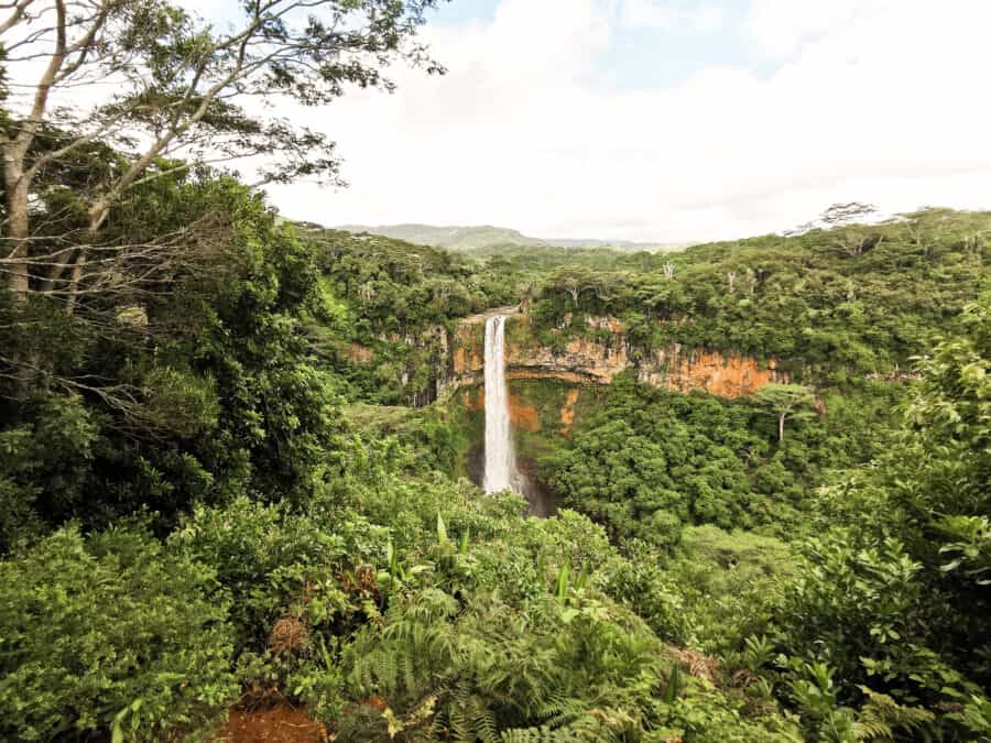 The spectacular cascading Chamarel Waterfall in thick tropical jungle is one of the most incredible reasons to visit Mauritius