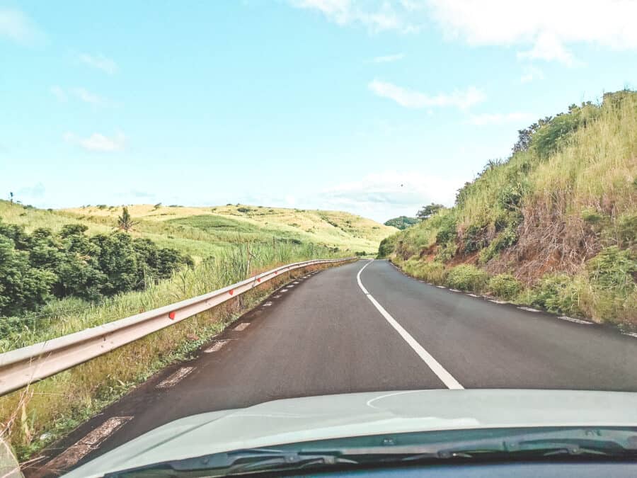 Endless sugar cane fields next to the road in Mauritius