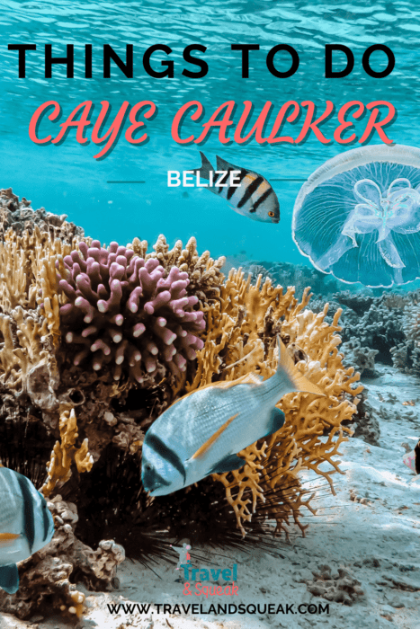 8 Wonderful Things To do in Caye Caulker - Travel and Squeak