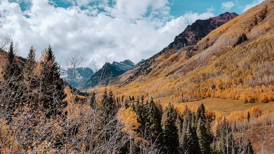 Golden fall foliage on the hiking trails surrounding Maroon Bells, Aspen, Colorado