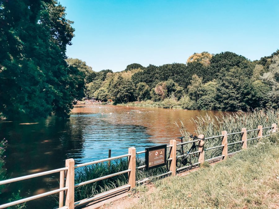 People swimming in the Mixed Bathing Pond at Hampstead Heath, London