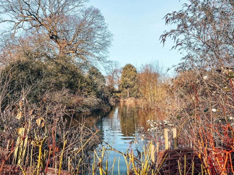 The tranquil pond in Greenwich Park next to the Deer Wilderness, London