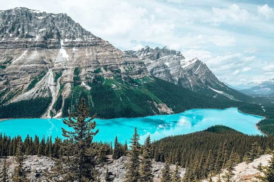 Panoramic view of the striking blue Peyto Lake on the Icefields Parkway, Alberta, Canada