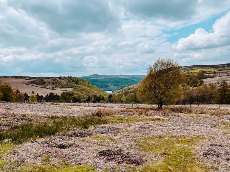 Ladybower Reservoir poking through the trees on the High Neb-Bamford Edge Walk in the Peak District