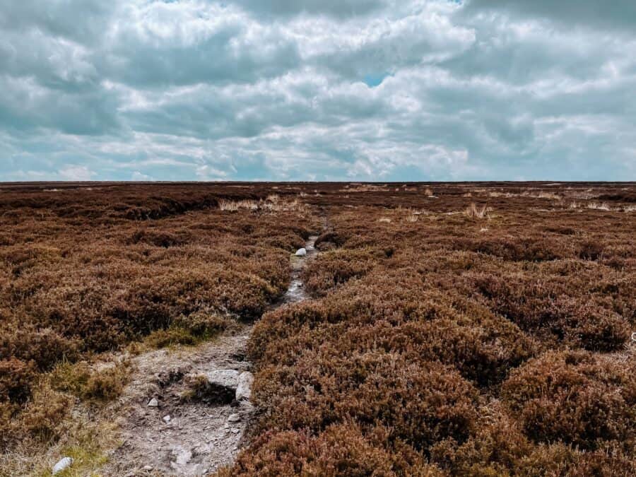 Walking through the vast Bamford Moor on the High Neb-Bamford Edge Walk, The Peak District