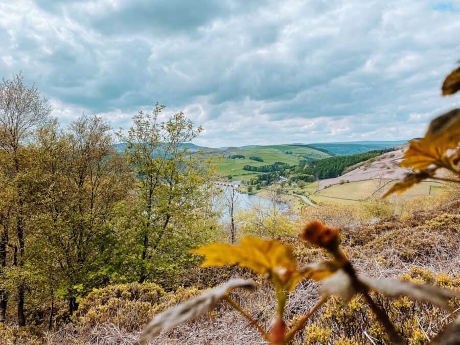 Walking through the forest overlooking Ladybower Reservoir on the High Neb-Bamford Edge Walk, Peak District