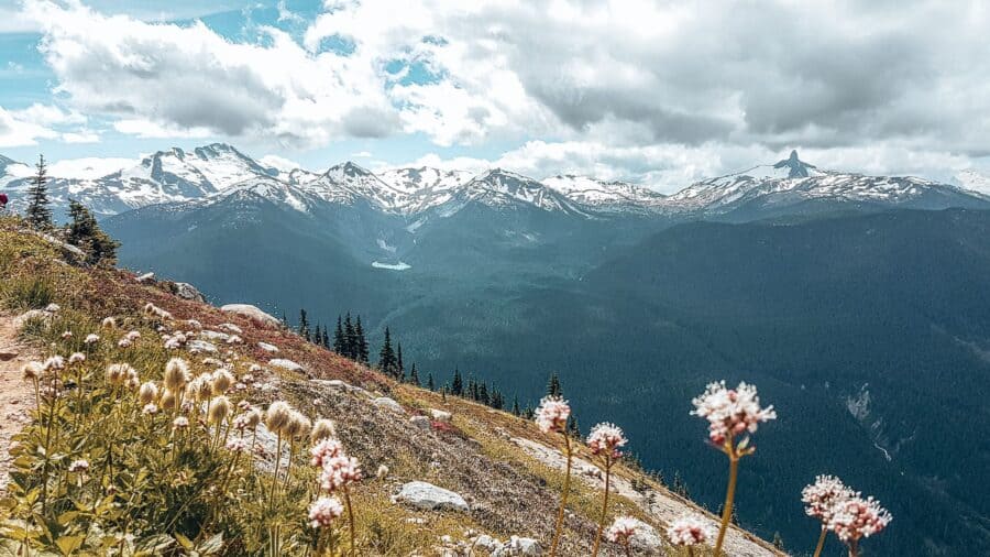 The top of Whistler Mountain overlooking Black Tusk in Garibaldi Provincial Park dominating the skyline, Whistler, Canada