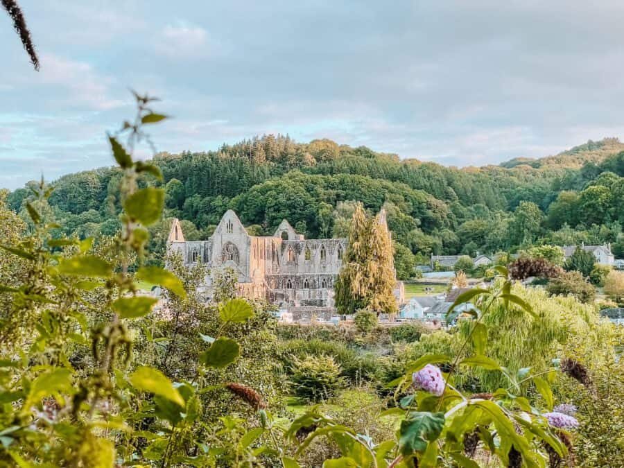 Visiting Tintern Abbey in its beautiful green countryside surroundings is one of the top things to do in the Wye Valley, Wales