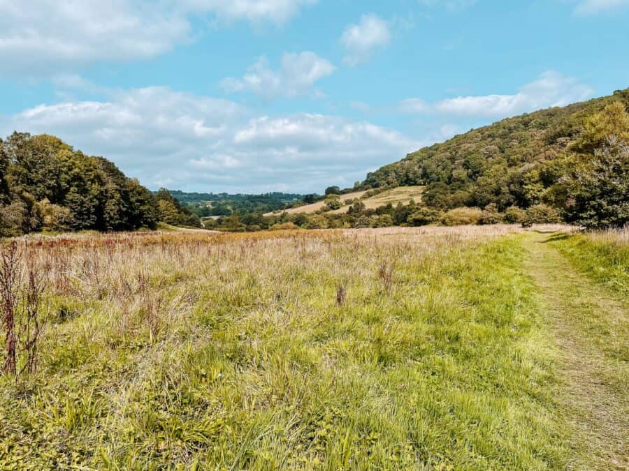 Endless green rolling hills and countryside in the Wye Valley, Wales